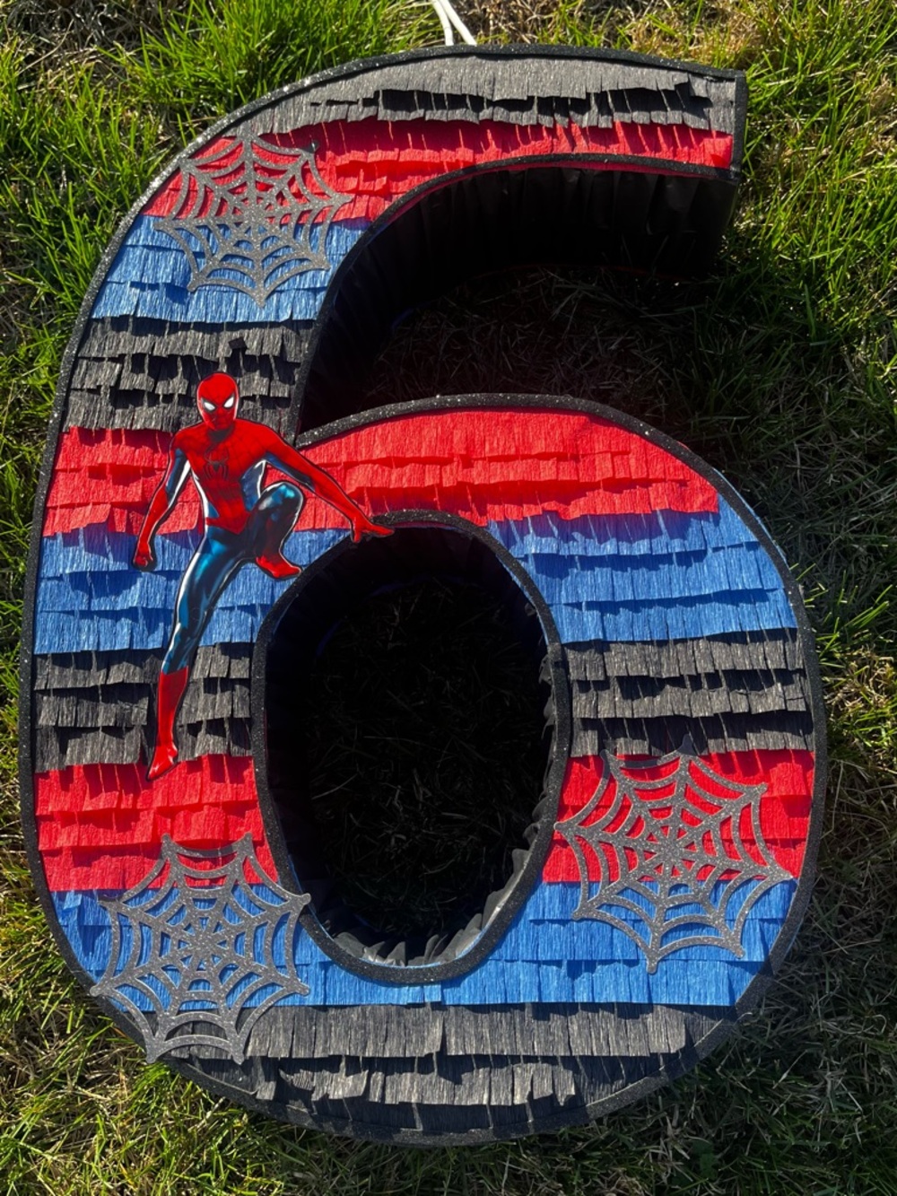 #6 Spider-Man theme Pinata